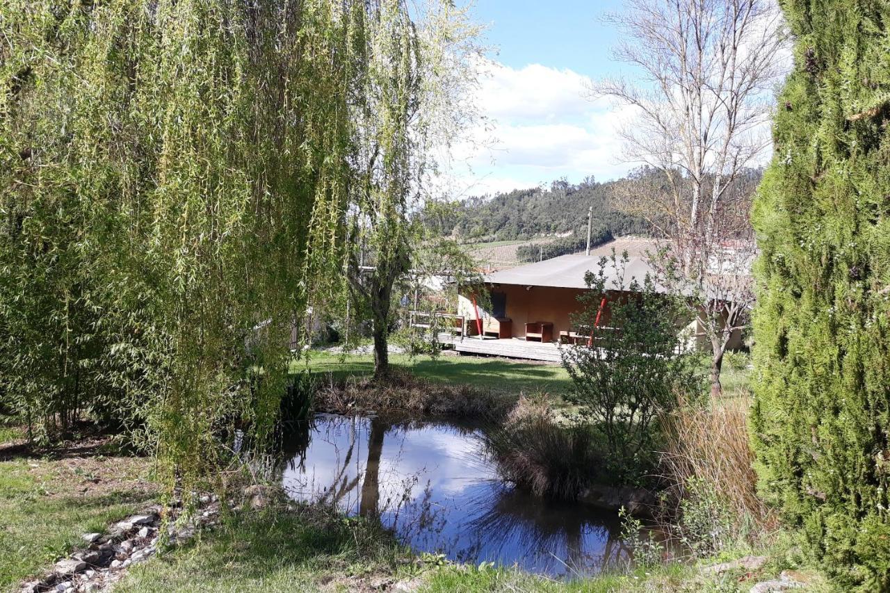 第五日住宿加早餐旅馆 Carvalhal Bemfeito 外观 照片