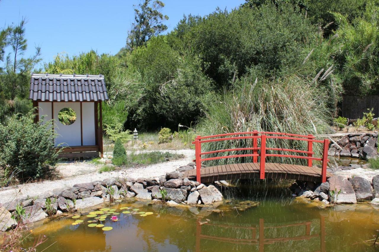 第五日住宿加早餐旅馆 Carvalhal Bemfeito 外观 照片